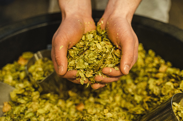 Samuel Adams Boston Brewery - Sam Signature Experience